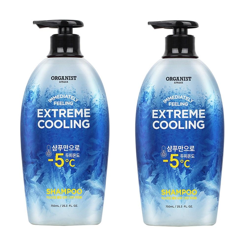 

Organist Elastine Extreme Cooling Shampoo Mint Flavor, 750ml, 2 units