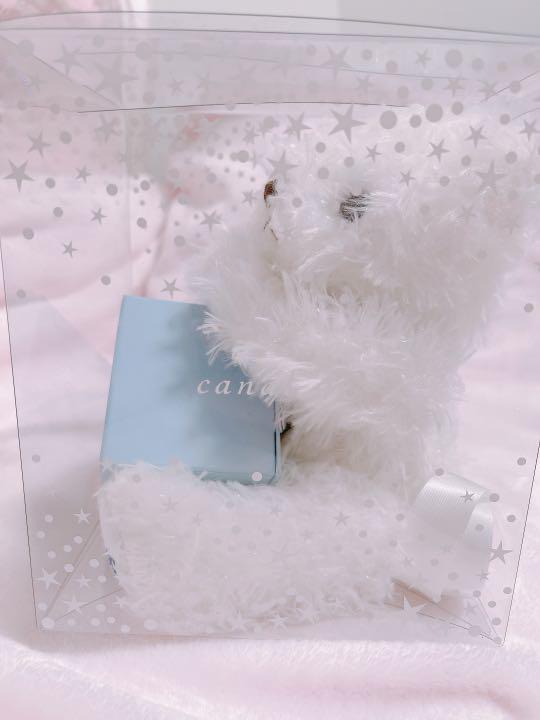 [USED] 4℃ Teddy Bear