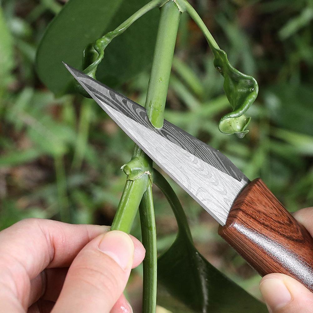 Fruit Tree Grafting Knife - Super Sharp Blade for Grafting Branches & Specialized Pruning Tool with Free Grafting Tape