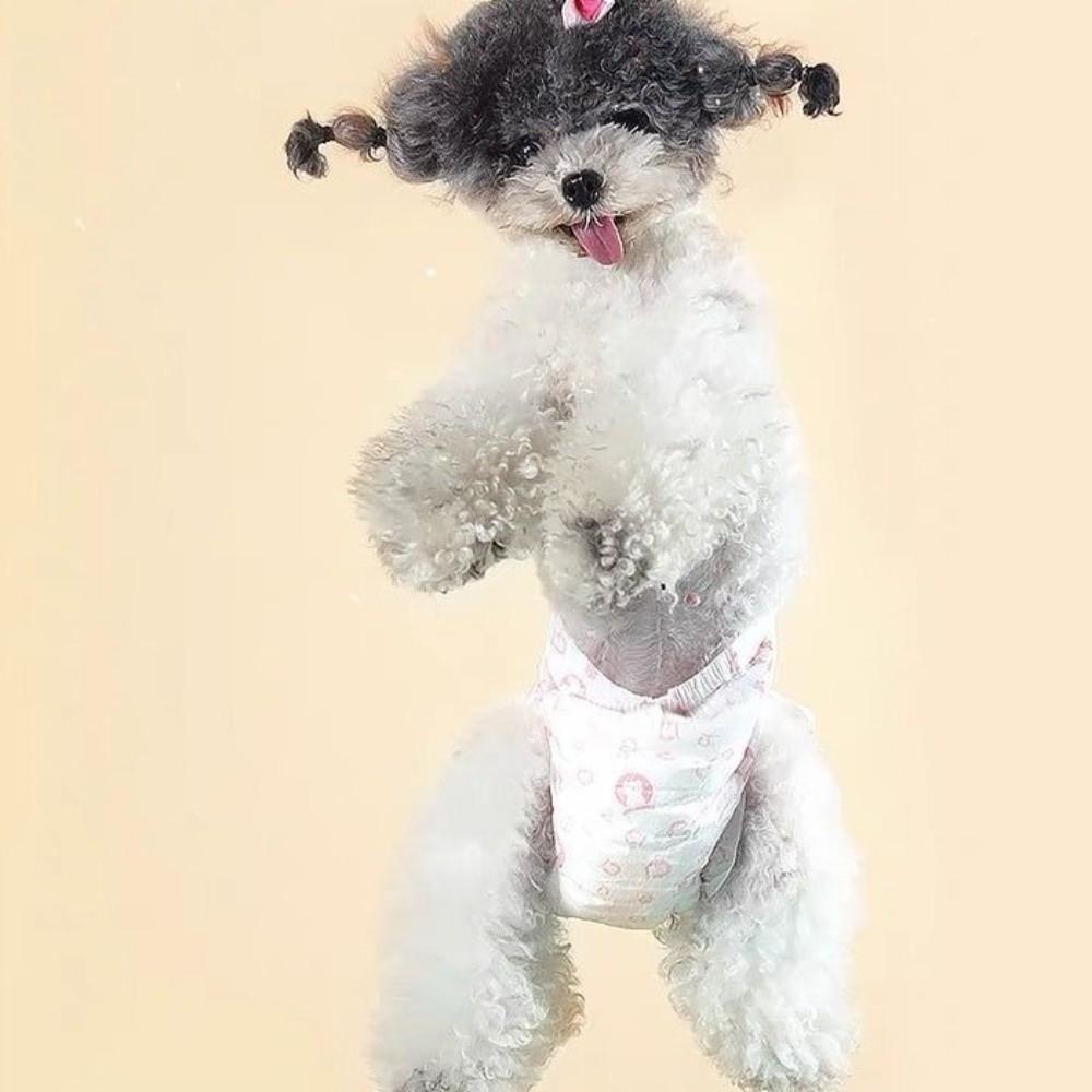 10 Stück Super Saugfähige Hundehosen Verstellbare Einweg-Windeln Hundereise