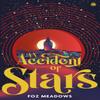 An Accident of Stars by Foz Meadows Paperback Book 9780857669957