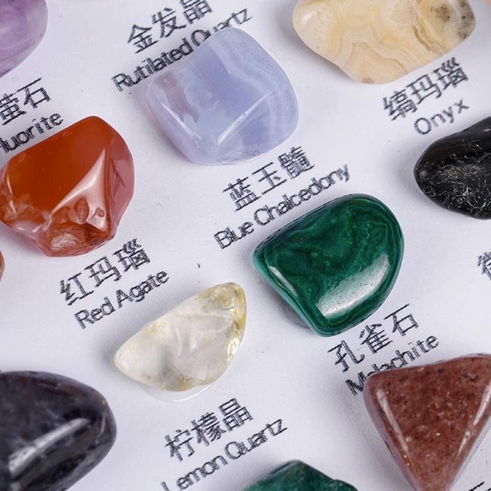 50 pezzi/scatola Gemme Naturali Multicolore Campioni Cristallo Duro Pietra Grezza Campioni Minerali Quarzo Splendido Raffinato Campioni