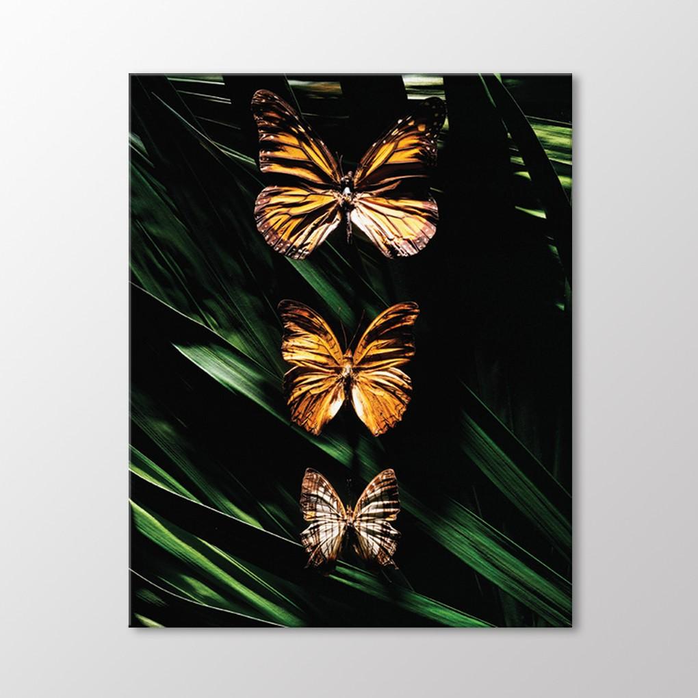 

Бабочки Живопись