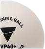 Victas VP40+ Table Tennis Training Balls, 5 Dozen, 15500