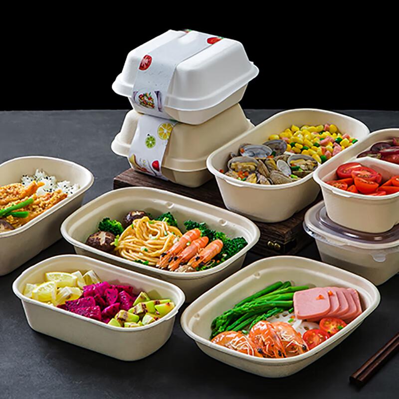 Disposable Pulp Food Container with Lid