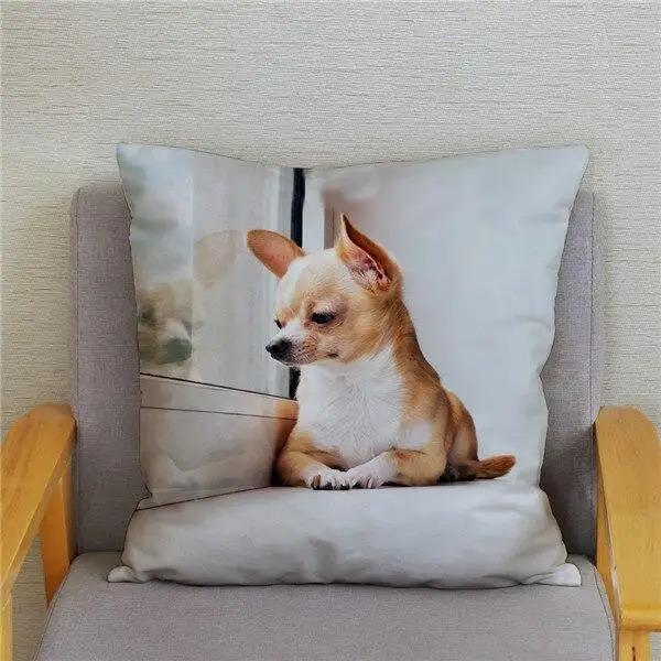 Cute Mini Chihuahua Dog Decorative Pillowcase Office Living Room Car Ornaments Home Pillowcase