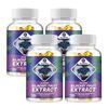 Coolkin - Bilberry Fruit Extract Capsules - Eye Health - Antioxidant Properties