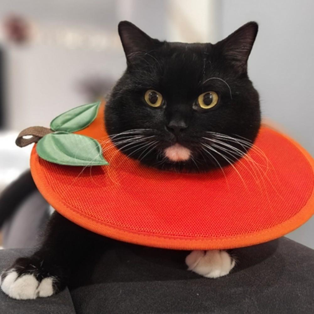 Weiche Fruchtform Kitty Genesungs-Halskrause Anti-Biss Hund Schutz-Halskegel Stoppt Lecken