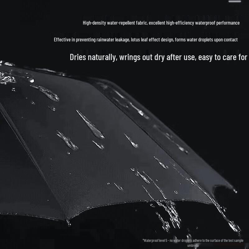 Shixun Automatic Folding Umbrella