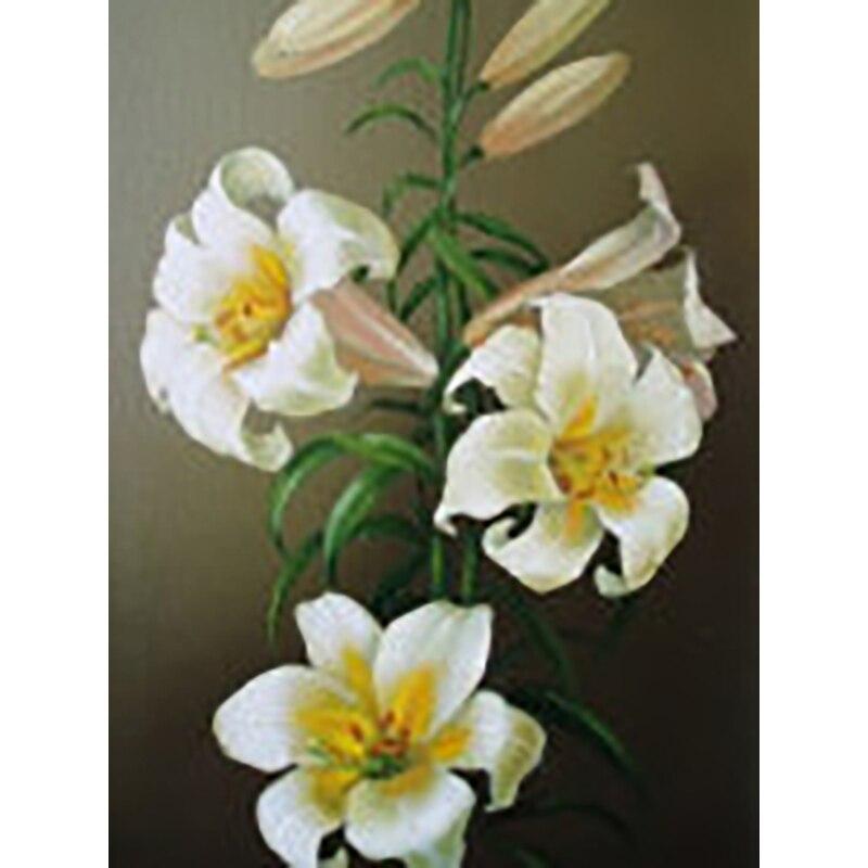 5D DIY sada na malování diamantů Krásné květiny Diamantové vyšívání kamínky Dekorace pro domácnost