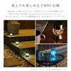 Takeda Corporation Diamond Cut Crystal Solar Light [Garden Light/Illumination] 2-Way (DS-171) (001360093)