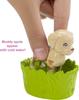 Barbie Pet Care Set Accessories for Ages 3 and Up (Dress-Up Doll, Set) (FXH11)