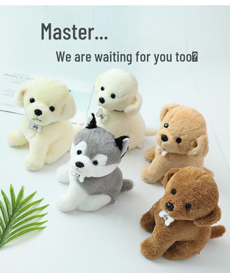 Teddy Dog Plush Toy: Husky Puppy with Nameplate & Dog Claw Machine Accessory