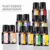 Aromatherapy Essential Oil Set: Water-Soluble, Plant Extracts, Multiple Scents for Aromatherapy Machines and Humidifiers.
