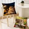 Kaninchen trinkt Kaffee Kissenbezug Bestes Home Office Kaffee Kissen Sofa Druck Dekoration Zimmer Geschäft Auto Nordische Schlichtheit Hit