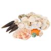 Tiny Natural Mixed Ocean Sea Shells Fish Tank Decoration and Beach Decoration Crafts Shells