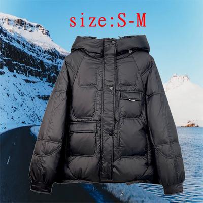 Outdoor Warm Down Jacket 2022 New Women's Loose Meat-covering Thin Small Steel Gun Multi-color Bread Jacket