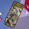Koala Case For Oppo A17 A60 A40 A80 A16 A76 A96 A98 A58 A78 A18 A38 A57 A74 A54 A94 A15 A5 A6 Pro