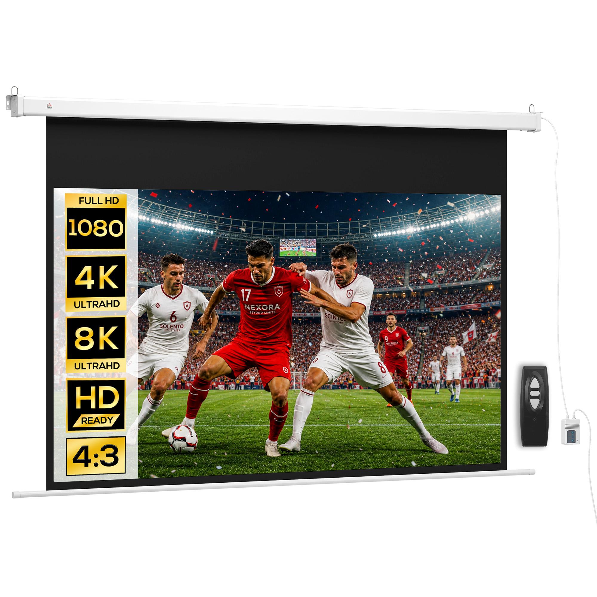 Projector Screen 212 x 150 cm