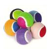 TMZ Hard Ball Dog Chew Toys 2 Pack Tough Chewing Balls for Small Dogs Puppy Teething Training Interactive Pet Dental Toys