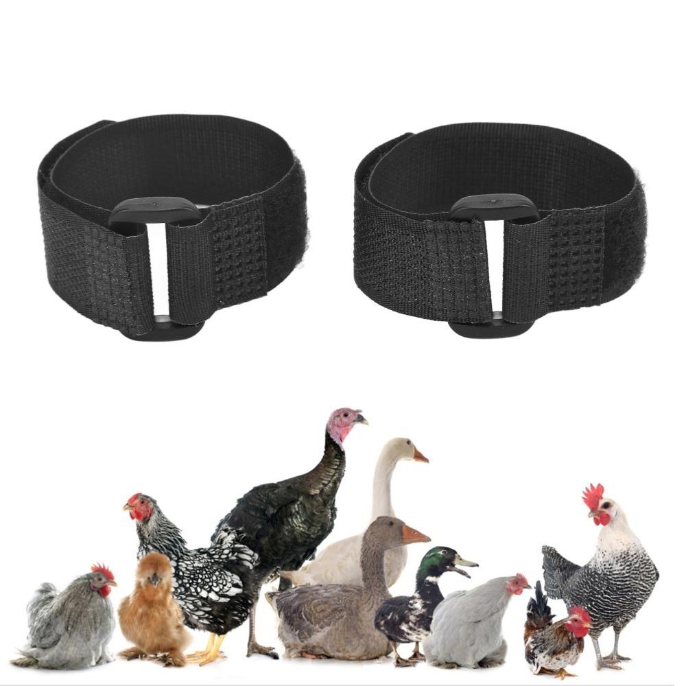 2 unidades de Collar de Nylon para Gallo Collar Duradero para Cuello de Pollo Collar Sin Ruido Para Patos y Gansos