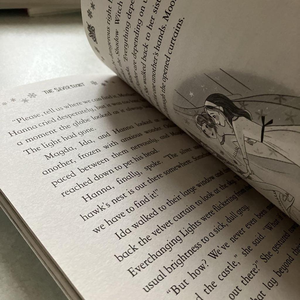 [USED] SNOW SiSTERS 2-book set chapter book