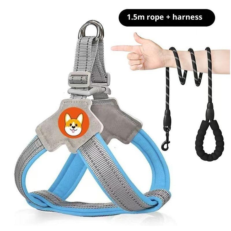 Köpek Tasması Yelek Tipi Evcil Hayvan Göğüs Kayışı Köpek Gezdirme Tasması Küçük ve Orta Boy Corgi Ayı Teddy Tasması