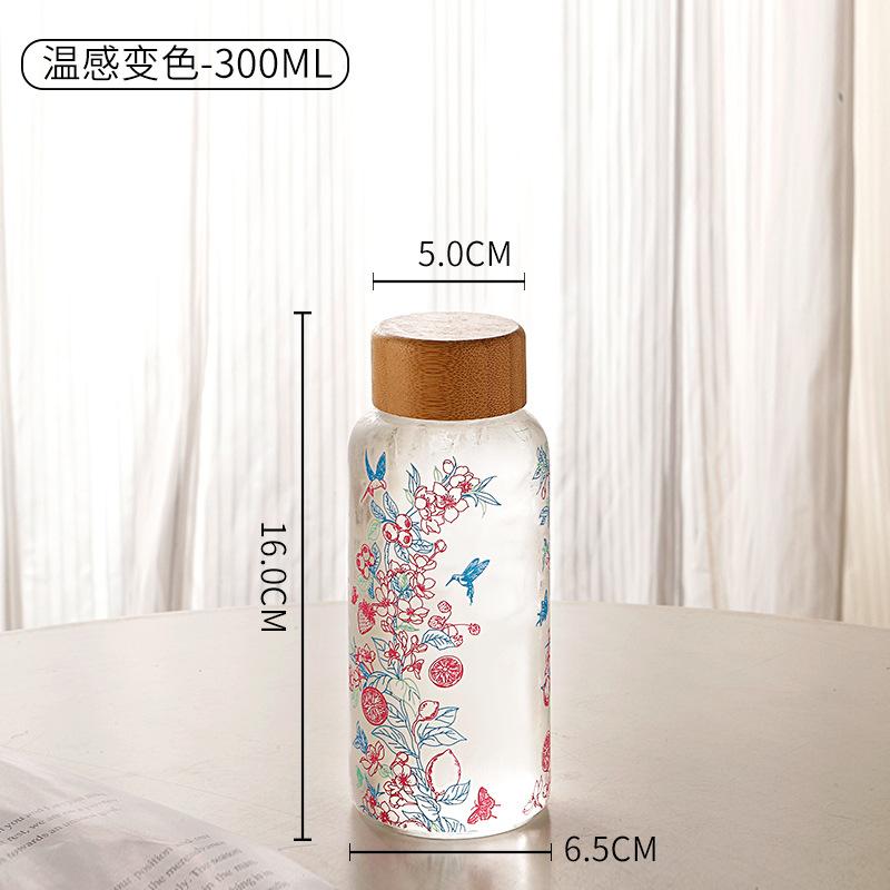 

550ml Color Changing Glass Tea Cup Large Capacity Borosilicate Temperature Sensitive Cold Brew Bottle 350-550ml