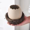 Creative INS Ceramic Eggshell Bird’s Nest Bowl – Ramen, Dessert & Snack Bowl