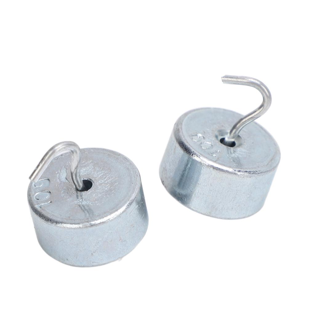 2pcs 10g Lab Hook Weight Chrome Plated Steel Double Hooked Weight with Case For General Science Phys