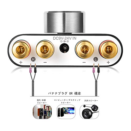 Upgraded Nobsound NS-01G Pro Power Amplifier, Bluetooth 5.0, 100W, Digital Power Amplifier for Speakers, HiFi Audio, with Power Supply (Black)