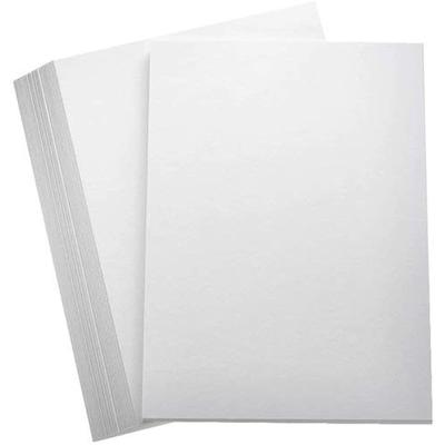 Eclet A3 Boyut 300 Gsm 20 Yaprak Pürüzsüz Yüzey Fildişi Çizim Kağıdı Yaprakları, Beyaz, 16,5 İnç X 11,75 İnç, 20'li Kombine Paket