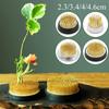 4 Sizes Round Japanese Flower Holder Ishizaki Kenzans Pin Art Fixed Tools Flower Arrangement Insert Base Frog Art