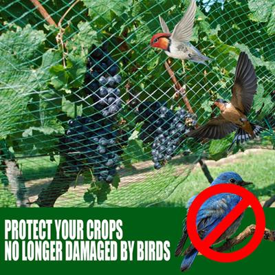 Green Bird Protection Net Protects Rodent Birds Protects Plants And Fruit Trees