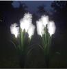 Solar LED Fiber Optic Reed Lamp for Outdoor Landscaping