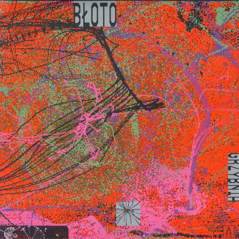 

LP Record BŁOTO - Grzybnia AR029LP Astigmatic Reco 2024 Poland Dance & Electronica