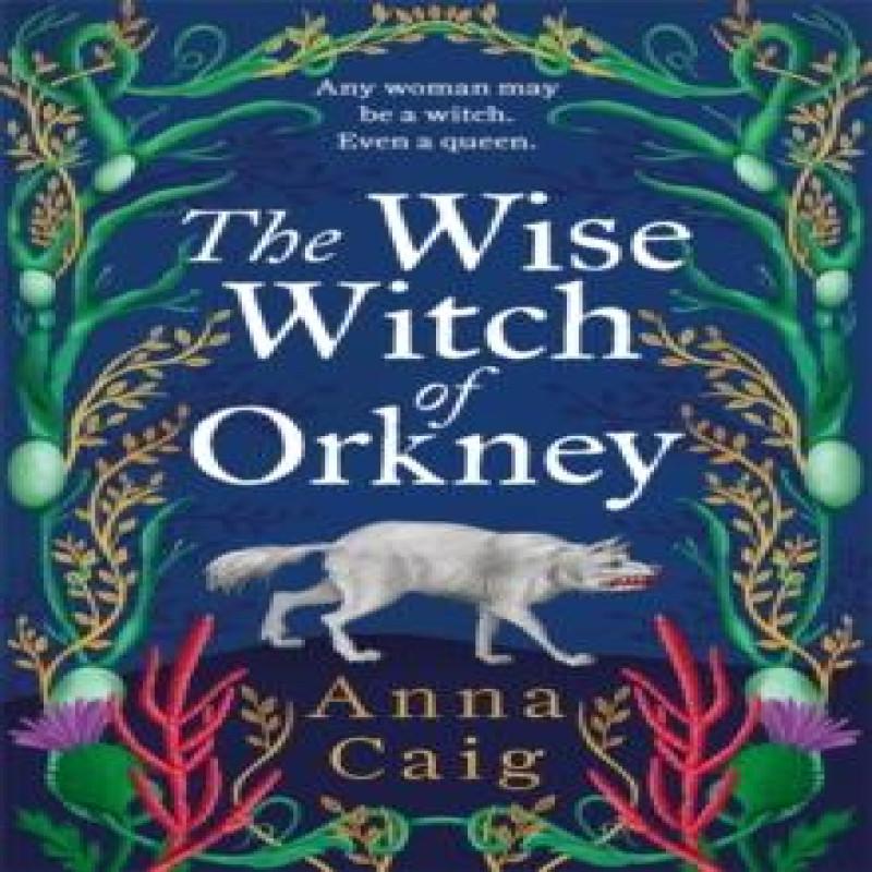 The Wise Witch of Orkney by Anna Caig Hardback Book 9781785308499
