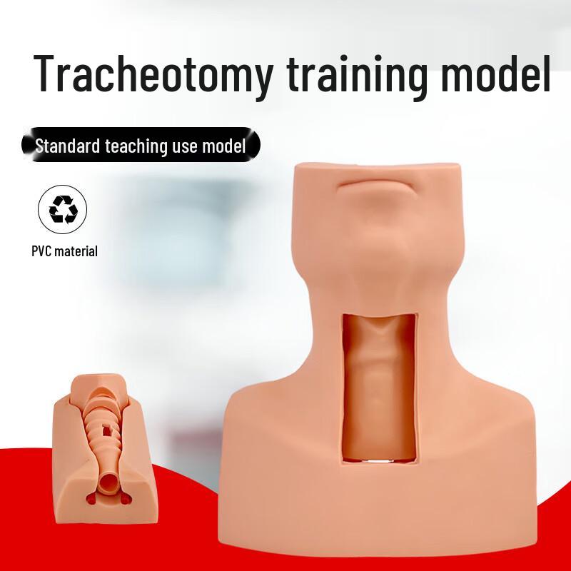 Cricothyroid Puncture & Tracheostomy Training Model