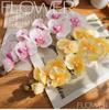 Large Wet Feel Phalaenopsis Orchid Artificial Flower for Home Décor and Weddings