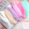 50Pcs Feather Colored Goose Feather Hard Big Floating Dream Net Sunflower Kindergarten Handmade Art Class Material Wing Decoration