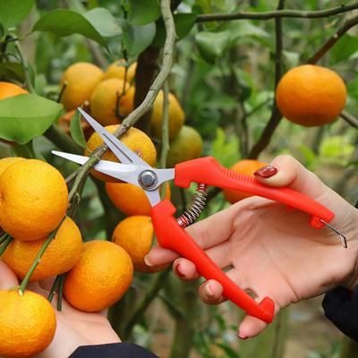 Pruning Scissors High Hardness Sharp Blade Stainless Steel Fruit Trees Branch Pruning Shears Home Supplies