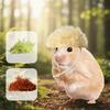 Wool Crochet Mini Hamster Wool Hat Handmade Pet Costume Knitted Hamster Hat  Small Pet Supplies