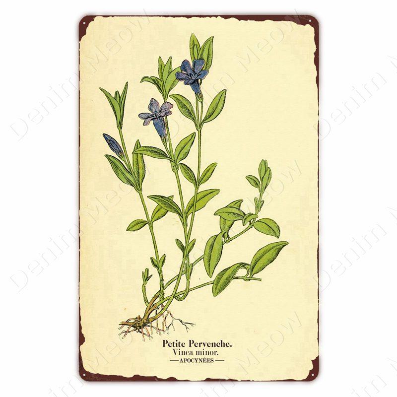 VintageWildFlowersMetalSign Vintage Metal Tin Sign - Wild Flowers Plant Herbarium Art Plaque, Kitchen/Home Wall Decor