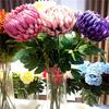 Large Artificial Chrysanthemum, Gaillardia, and Peony Flowers for Home Decor and Photo Props