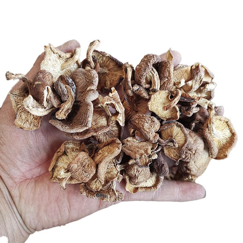 Yunnan Plateau Specialty: Wild Dried Shiitake Mushrooms