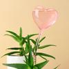 2Pcs Plant Glass Watering Globes Self Watering Globes Heart Shape Self Watering Bulbs Devices Plant Watering Bulbs
