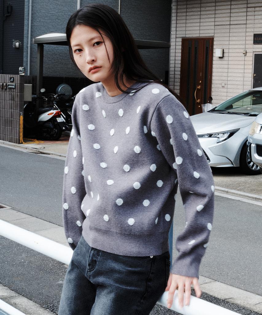PLAC WOMEN Dot Pattern Pullover Gray