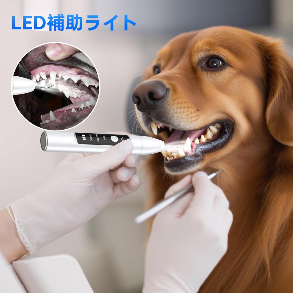 CVOSUN Ultrasonic Teeth Cleaner for USB 3 Adjustable LED Cleaning IPX6 for Cats and Dogs Dogs, Rechargeable, Modes, Built-in Lighting, Kit,