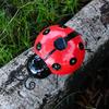 Solar Ladybug Lamp Outdoor Waterproof Garden Statue Wall Hanging LED Solar Powered Light For Garden Lawn Tree Landscape Decor
