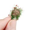 Miniature Garden Decor Flower Cluster Grass Tufts DIY Durable Sand Table Building Layout Static Scenery Model Landscape Wargame